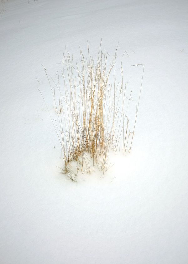 © Bahar Tusi - Image from the Between Breath photography project