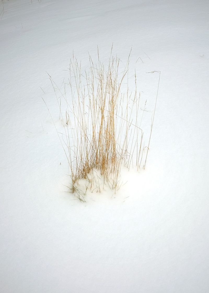 © Bahar Tusi - Image from the Between Breath photography project