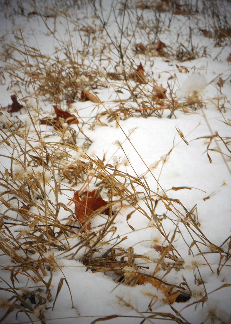 © Bahar Tusi - Image from the Between Breath photography project