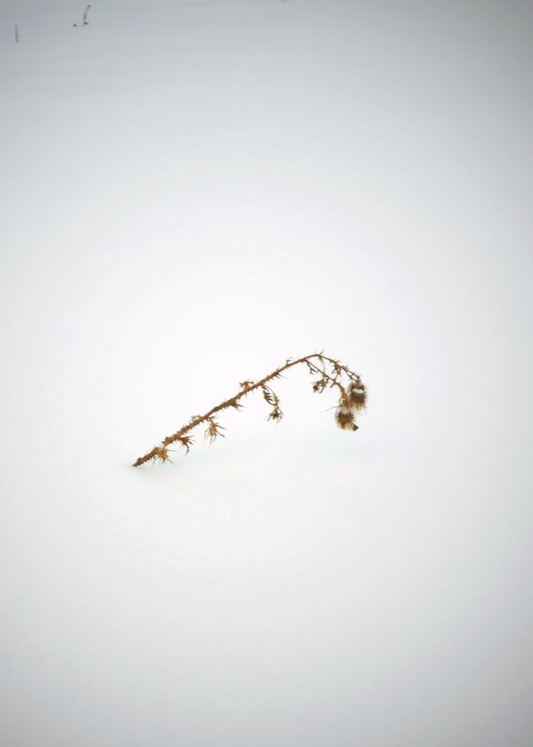 © Bahar Tusi - Image from the Between Breath photography project