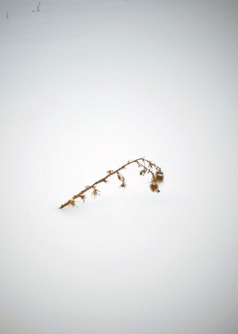 © Bahar Tusi - Image from the Between Breath photography project