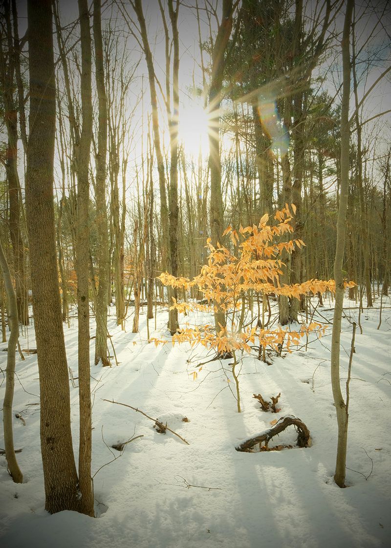 © Bahar Tusi - Image from the Between Breath photography project