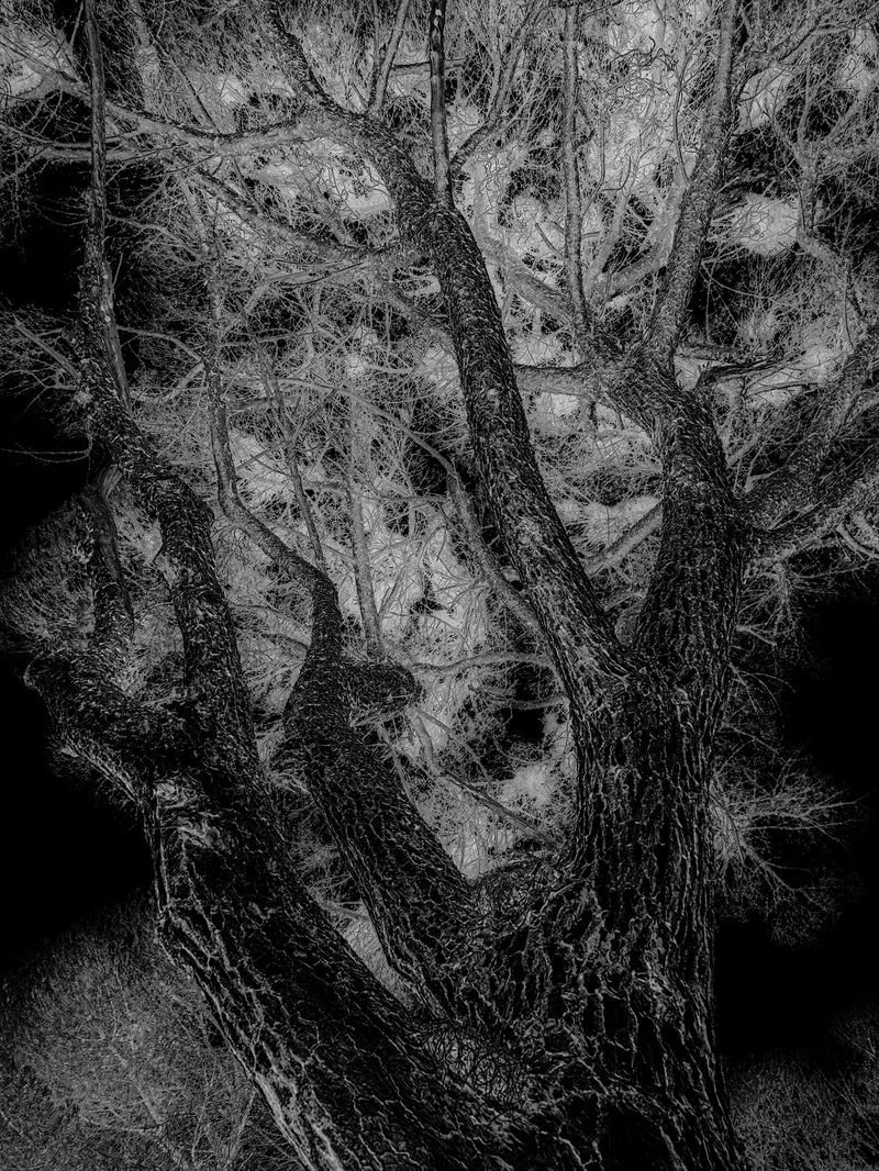 © Martin de Haan - Image from the Voix/Voices photography project