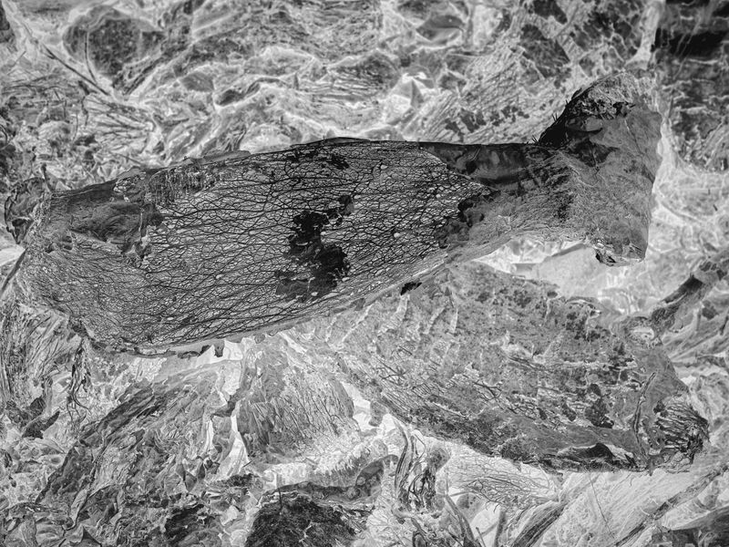 © Martin de Haan - Image from the Voix/Voices photography project