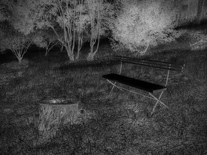 © Martin de Haan - Image from the Voix/Voices photography project