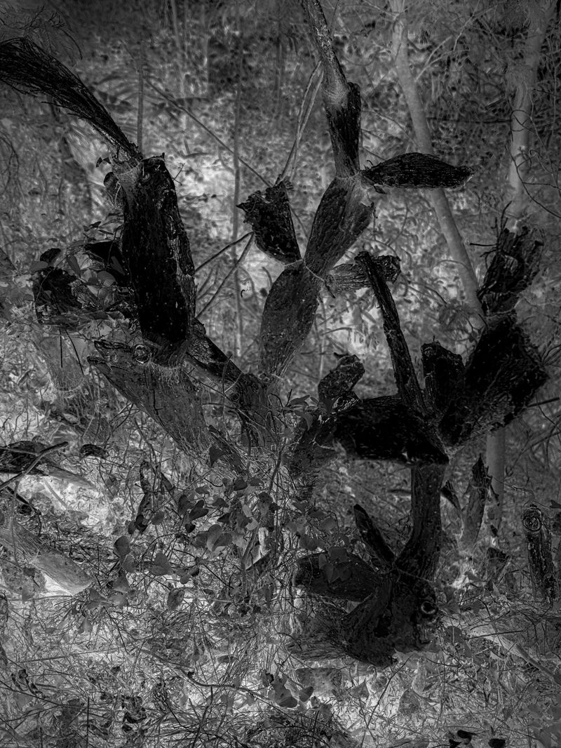 © Martin de Haan - Image from the Voix/Voices photography project