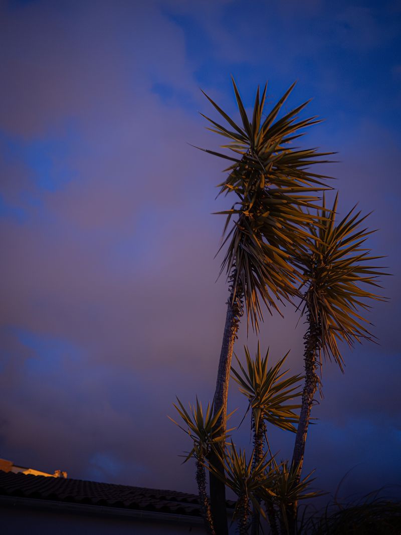 © Martin de Haan - Image from the Voix/Voices photography project