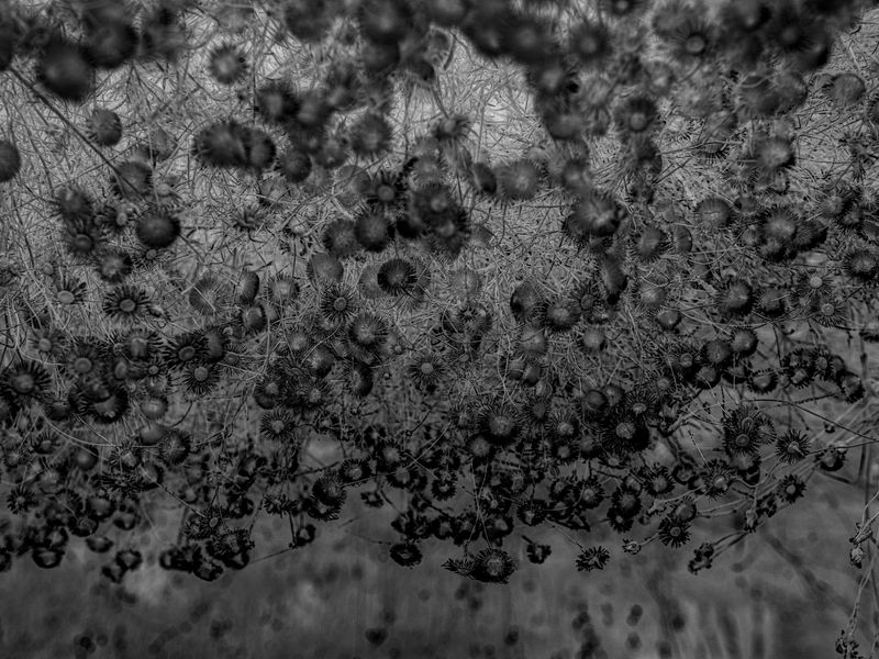 © Martin de Haan - Image from the Voix/Voices photography project