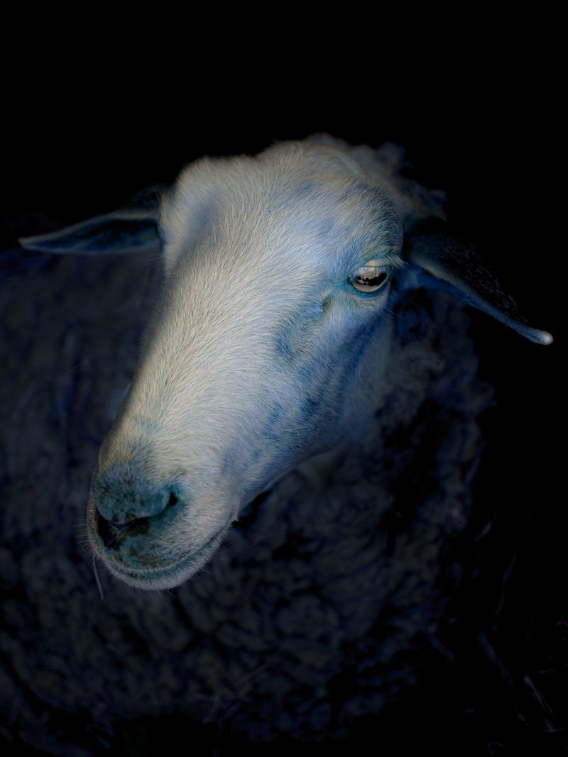 © Martin de Haan - Image from the Voix/Voices photography project