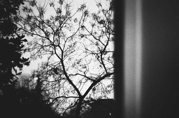 © Jixuan Li - Image from the 14+14+7=35 photography project