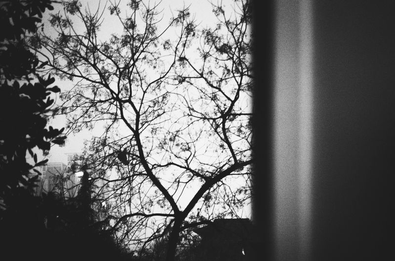 © Jixuan Li - Image from the 14+14+7=35 photography project