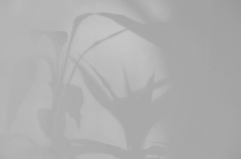 © Jixuan Li - Image from the 14+14+7=35 photography project