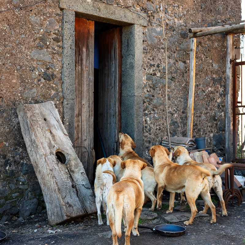 © emanuele occhipinti - Image from the A' Muntagna photography project