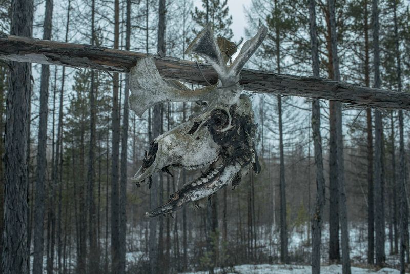 © Vasily Pindyurin - Image from the Mokla photography project