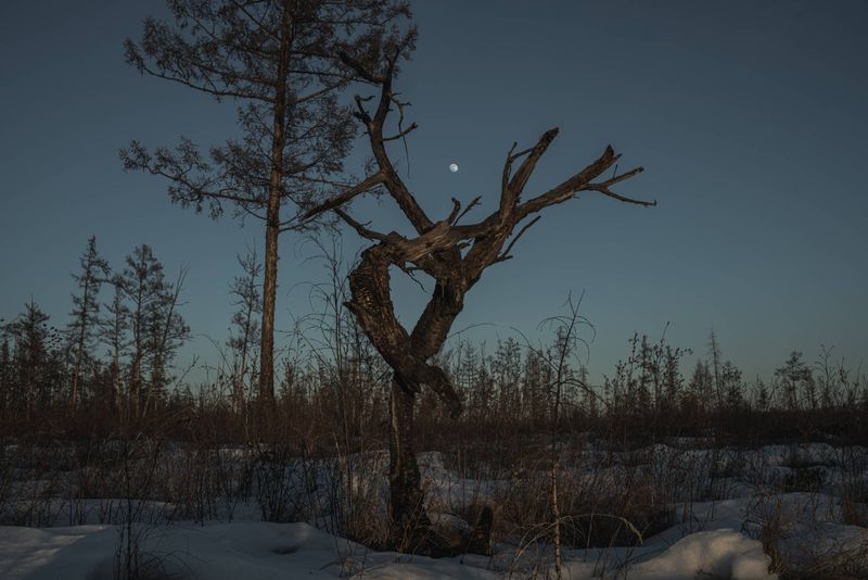 © Vasily Pindyurin - Image from the Mokla photography project