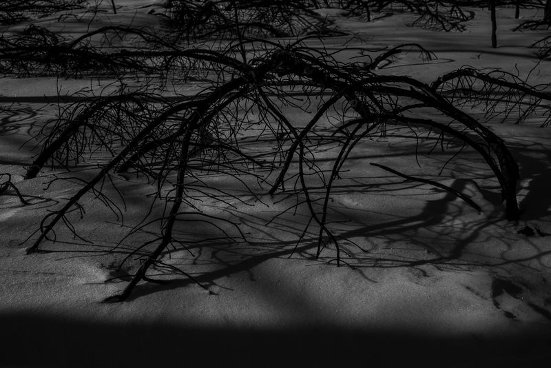 © Vasily Pindyurin - Image from the 66-III photography project