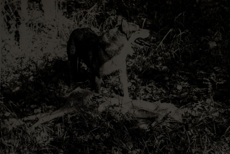 © Vasily Pindyurin - Image from the 66-III photography project