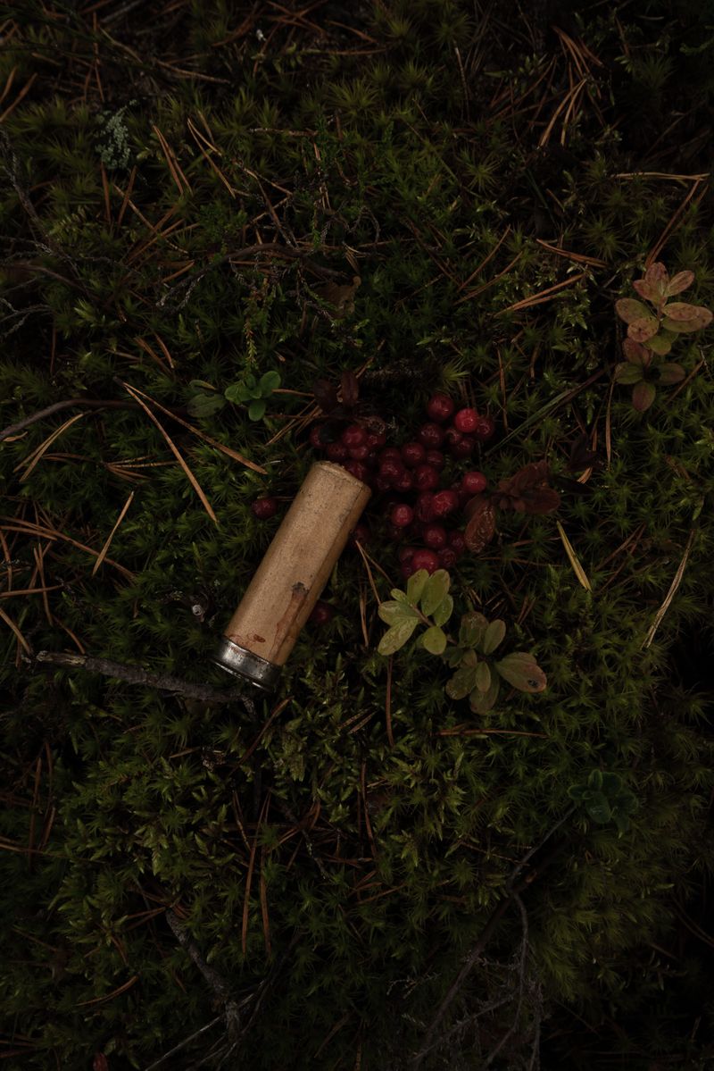 © Vasily Pindyurin - Image from the 66-III photography project