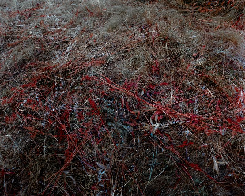 © Nikola Saev - Image from the The Night Hides A Second Moon photography project