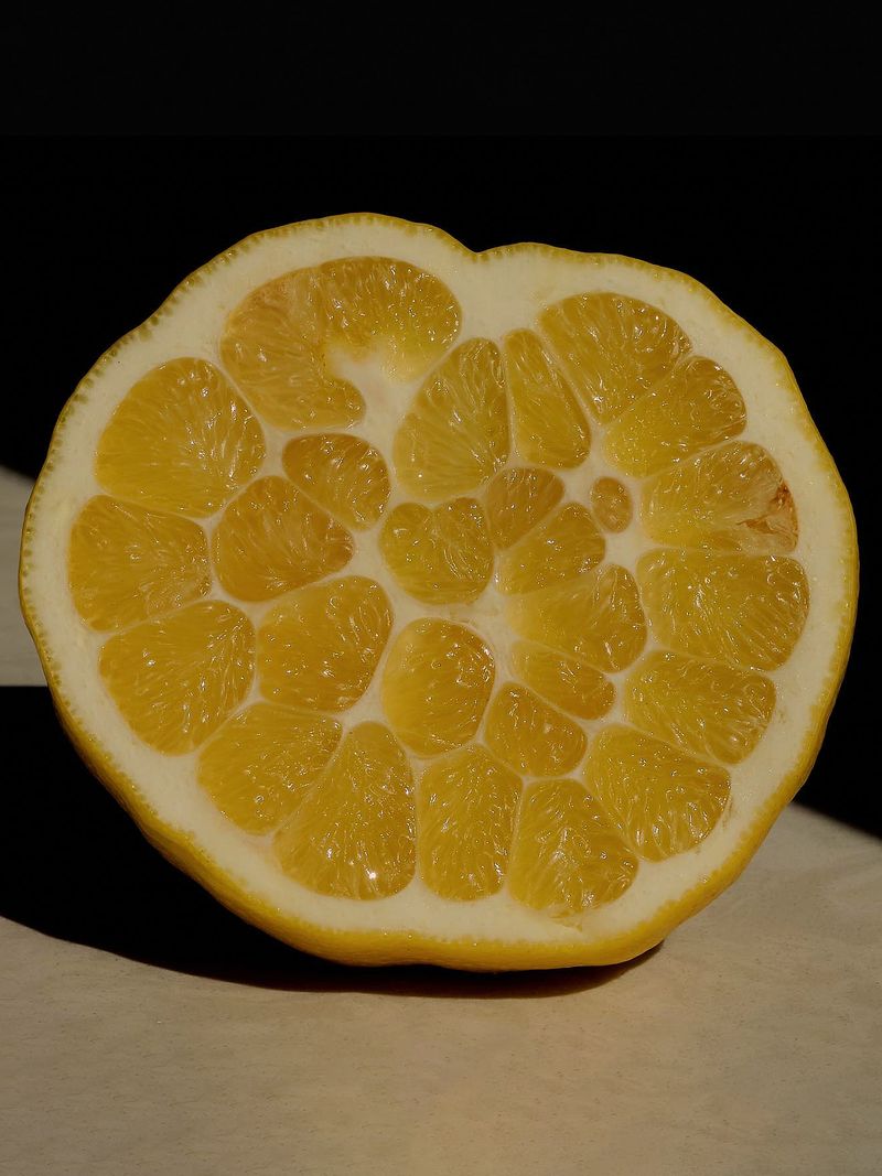 © Willie Franklin - Image from the Middle Distance photography project