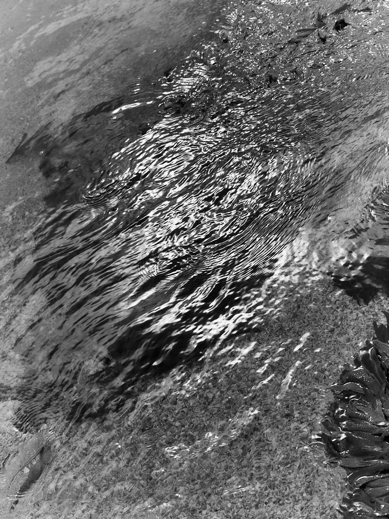 © Willie Franklin - Image from the Middle Distance photography project