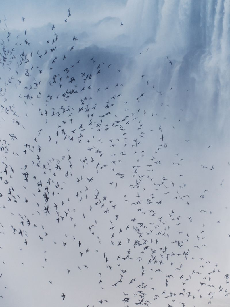 © Willie Franklin - Image from the Middle Distance photography project