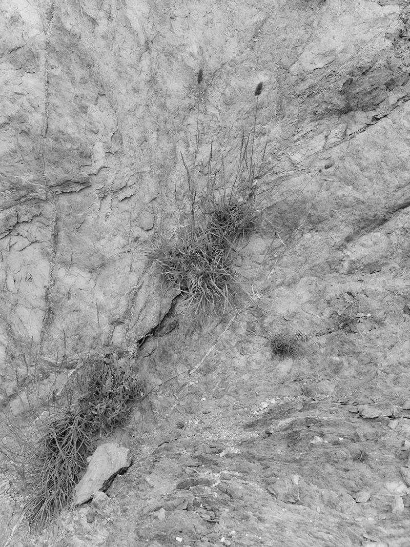 © Willie Franklin - Image from the Middle Distance photography project