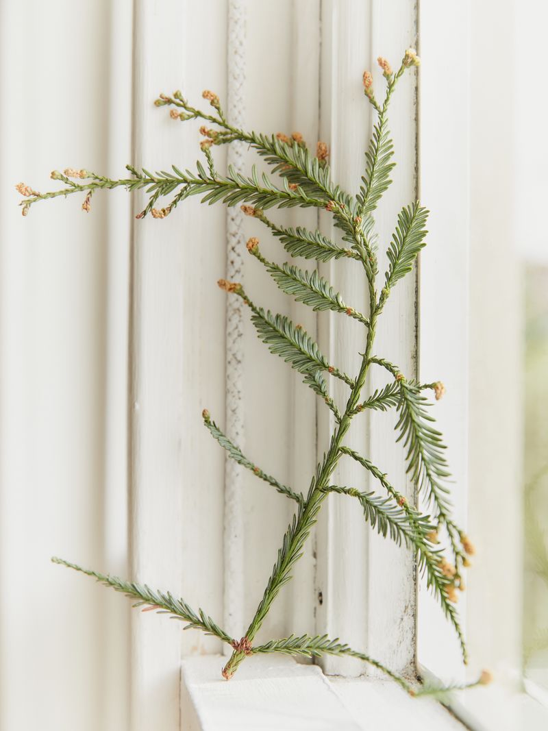 © Willie Franklin - Image from the Middle Distance photography project