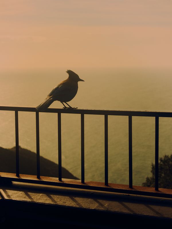 © Willie Franklin - Image from the Middle Distance photography project