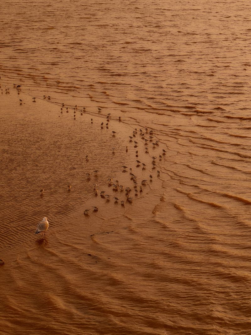 © Willie Franklin - Image from the Middle Distance photography project