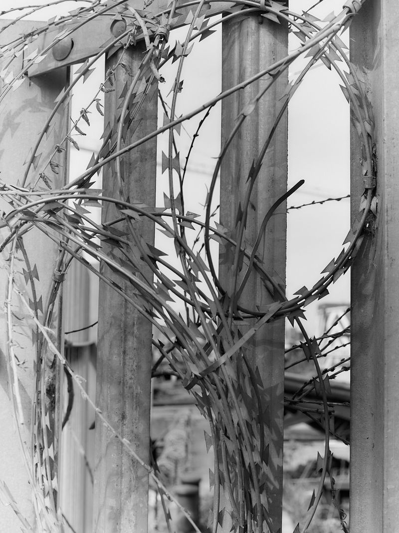 © Willie Franklin - Image from the Middle Distance photography project