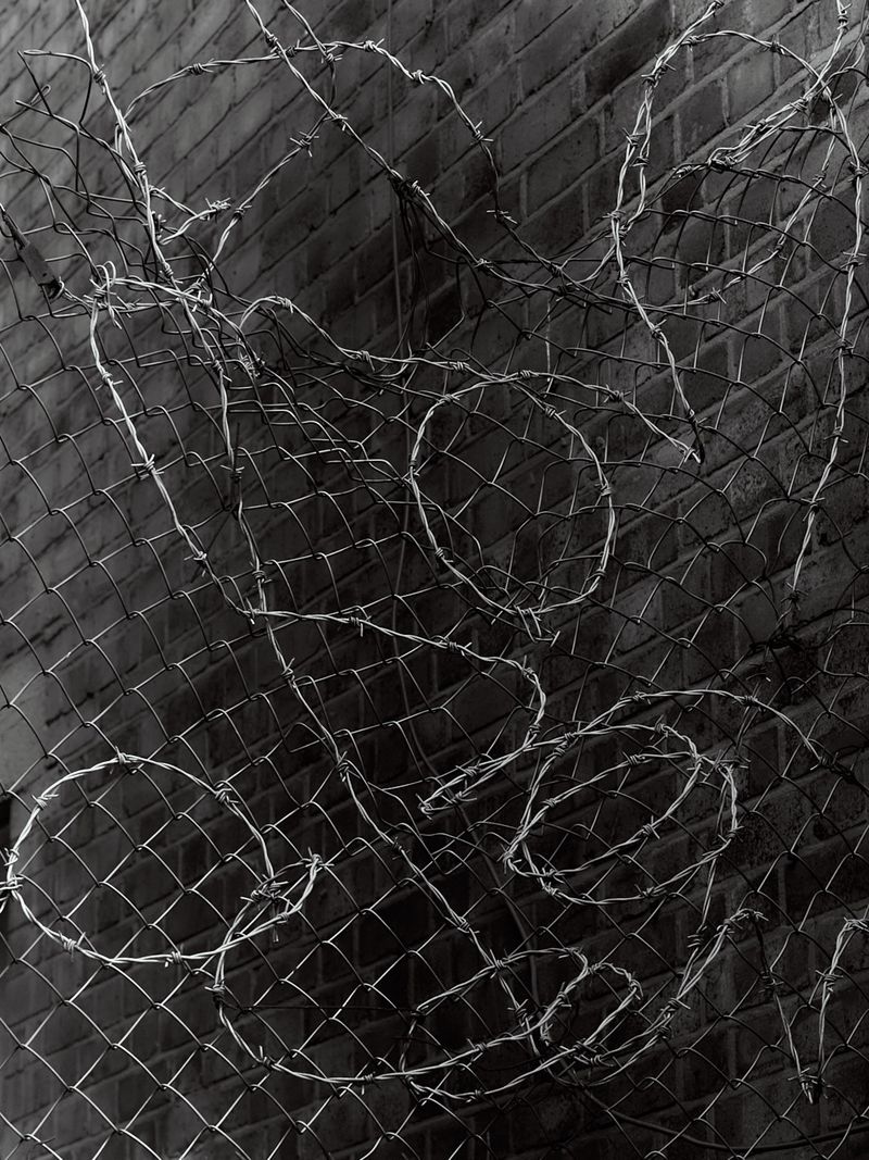 © Willie Franklin - Image from the Middle Distance photography project