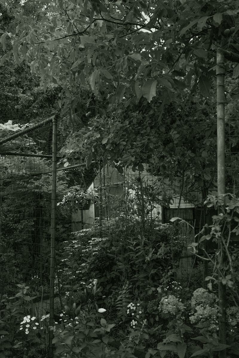 © Katarzyna Wąsowska - Image from the We bend to the ground photography project