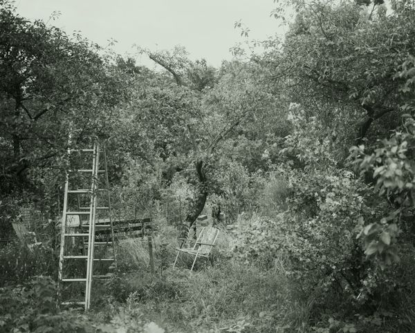 © Katarzyna Wąsowska - Image from the We bend to the ground photography project
