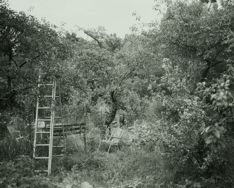 © Katarzyna Wąsowska - Image from the We bend to the ground photography project