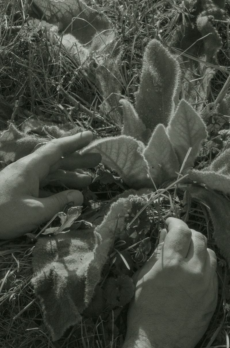 © Katarzyna Wąsowska - Image from the We bend to the ground photography project