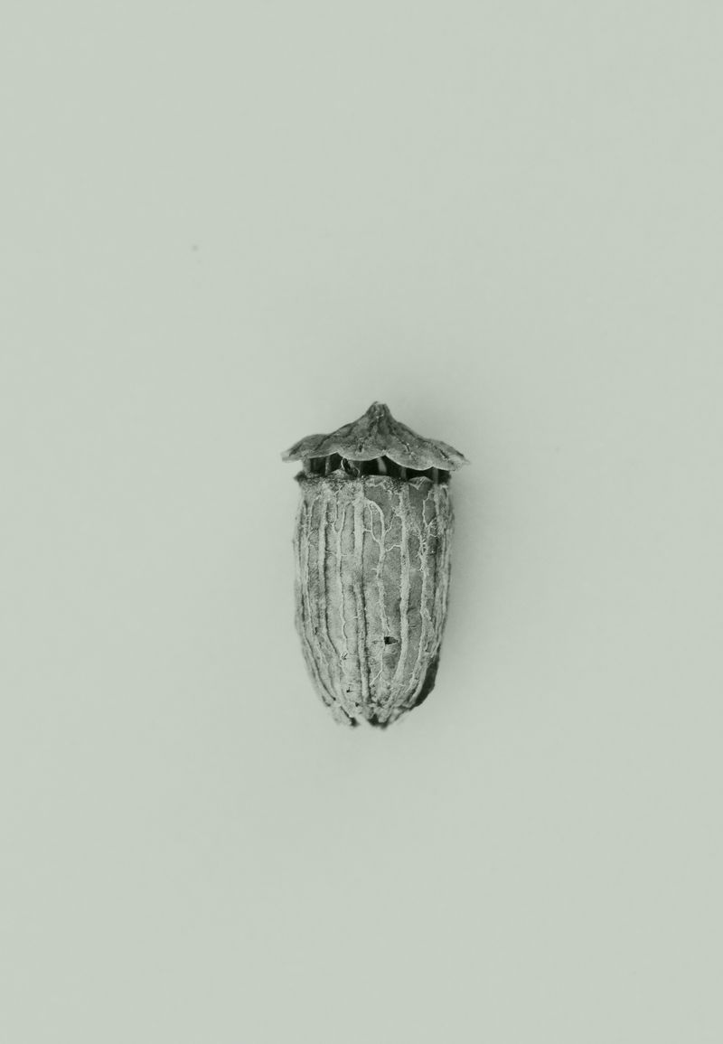 © Katarzyna Wąsowska - Image from the We bend to the ground photography project