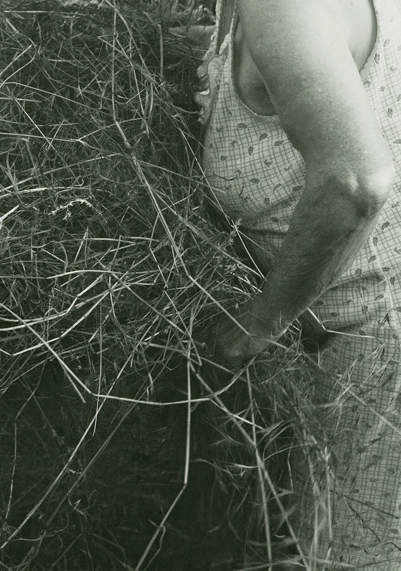 © Katarzyna Wąsowska - Image from the We bend to the ground photography project