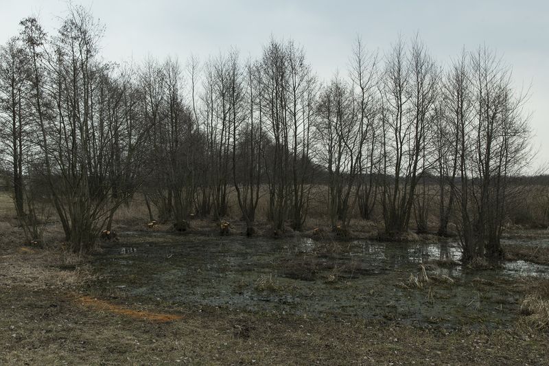 © Katarzyna Wąsowska - Image from the IT SO HAPPENS THAT THE WORLD IS NOT WHAT IT SEEMS photography project