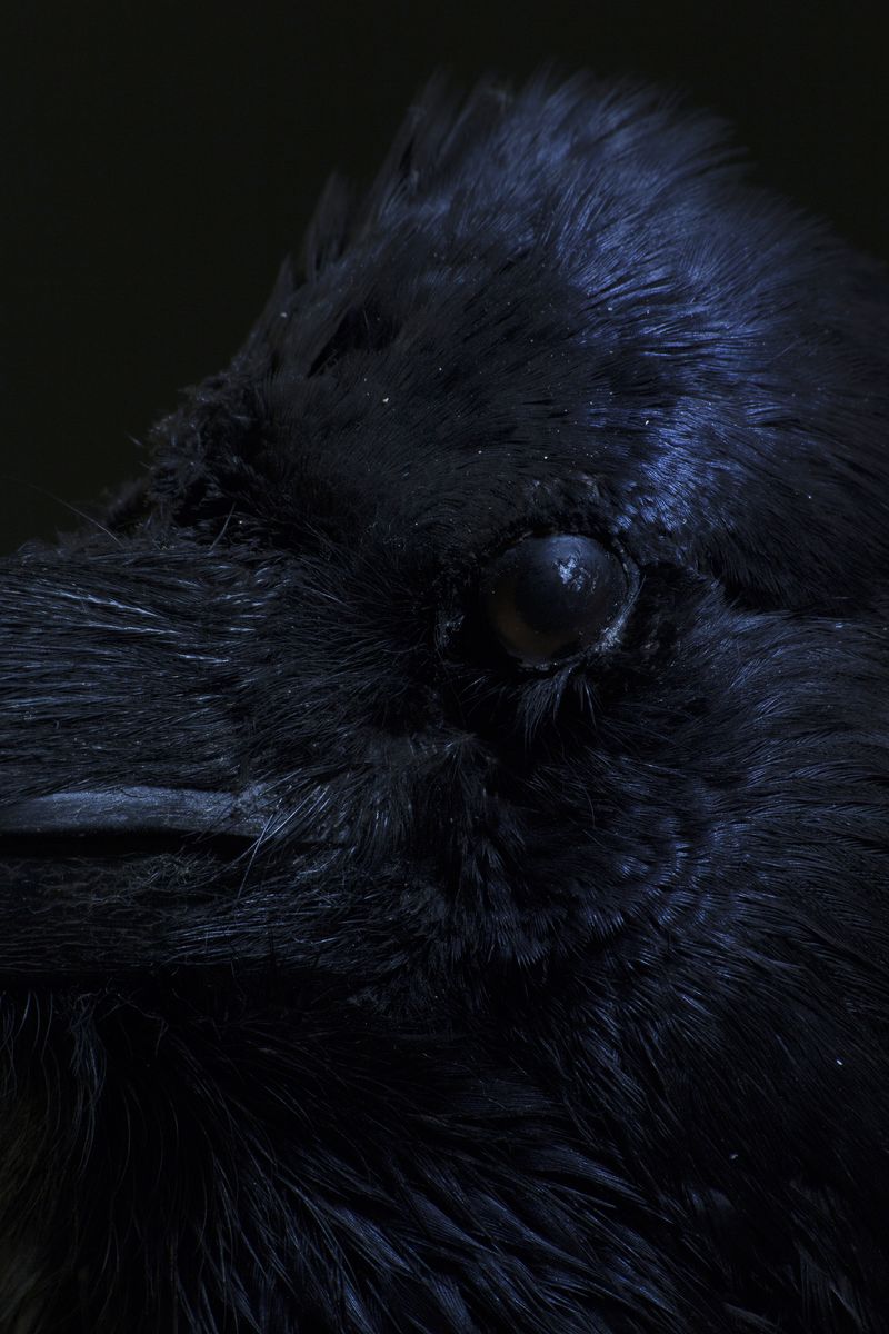 © Katarzyna Wąsowska - Image from the IT SO HAPPENS THAT THE WORLD IS NOT WHAT IT SEEMS photography project