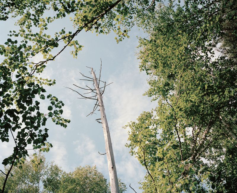 © Guillaume Tomasi - Image from the Chrysalises photography project
