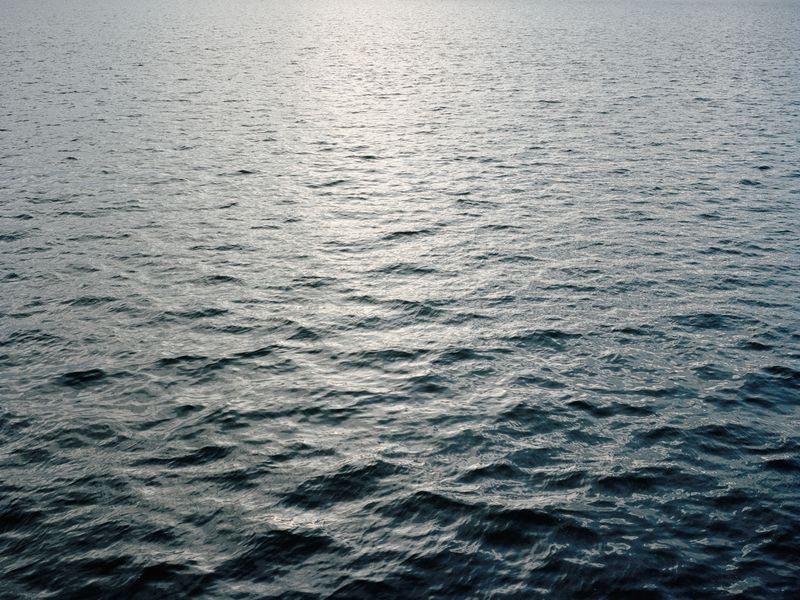 © Guillaume Tomasi - Image from the Chrysalises photography project