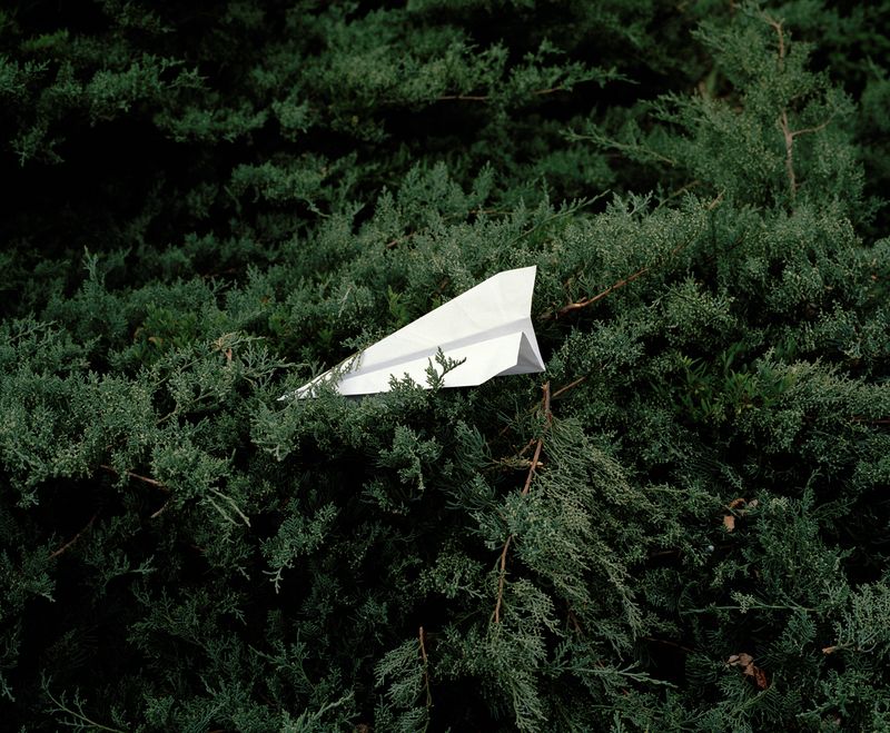 © Guillaume Tomasi - Image from the Chrysalises photography project