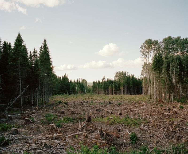 © Guillaume Tomasi - Image from the Chrysalises photography project