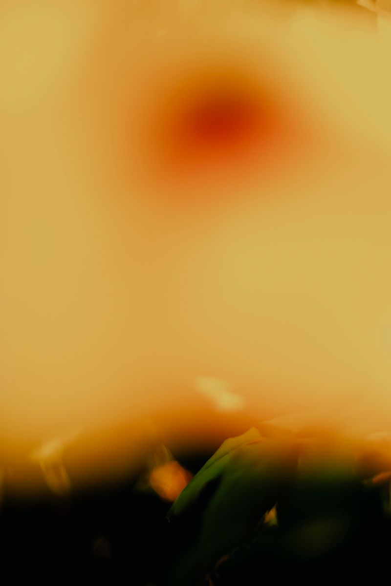 © Priscilla Mars - Image from the San Marino photography project