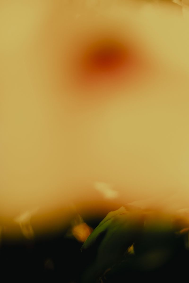 © Priscilla Mars - Image from the San Marino photography project