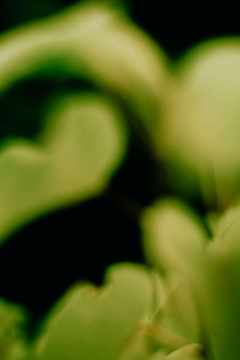 © Priscilla Mars - Image from the San Marino photography project