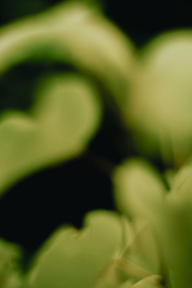 © Priscilla Mars - Image from the San Marino photography project