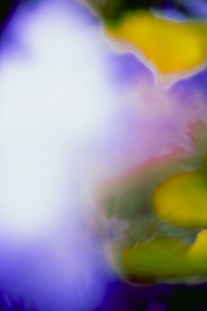 © Priscilla Mars - Image from the San Marino photography project