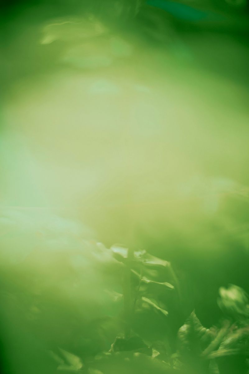 © Priscilla Mars - Image from the San Marino photography project